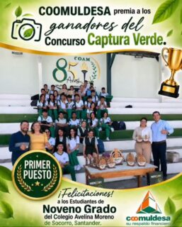 🏆💚 ¡ORGULLO COAMISTA! 💚🏆
🌱📸 Nuestros estudiantes de Noveno Grado alcanzaron el PRIMER PUESTO en el Concurso Captura Verde, promovido por Coomuldesa. 🎉👏
Un reconocimiento a su creatividad, compromiso y capacidad para transmitir, a través de la fotografía, la importancia de valorar y proteger nuestro entorno. 🌎🍃
¡Felicitaciones a nuestros estudiantes! 👏🏆 Cada logro de ustedes engrandece el nombre del Colegio Avelina Moreno y nos inspira a continuar construyendo una comunidad comprometida con el planeta. 💚
🌿 ¡Seguimos dejando huella!
#coamsocorro #coam #colegioAvelinaMoreno #SocorroSantander #CapturaVerde EducaciónAmbiental Sostenibilidad Naturaleza MedioAmbiente OrgulloCoamista